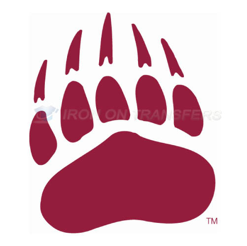 Montana Grizzlies Logo T-shirts Iron On Transfers N5169 - Click Image to Close